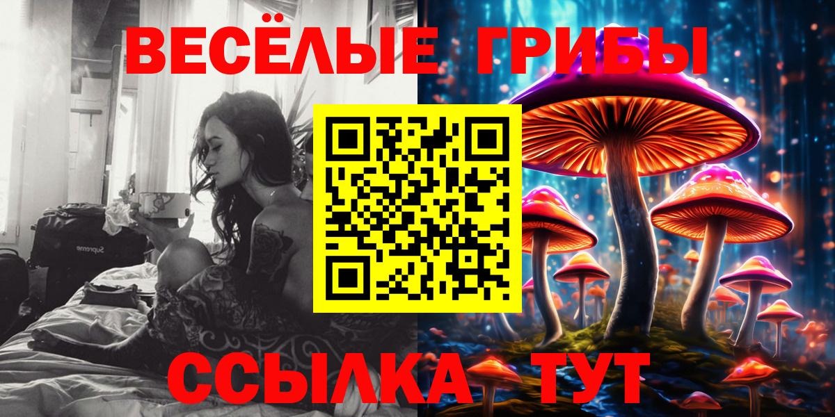 Псилоцибиновые грибы Cubensis Каменск-Шахтинский