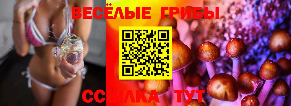 Галлюциногенные грибы Psilocybine cubensis  Вход с VPN  Каменск-Шахтинский 